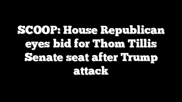 SCOOP: House Republican eyes bid for Thom Tillis Senate seat after Trump attack