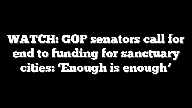 WATCH: GOP senators call for end to funding for sanctuary cities: ‘Enough is enough’