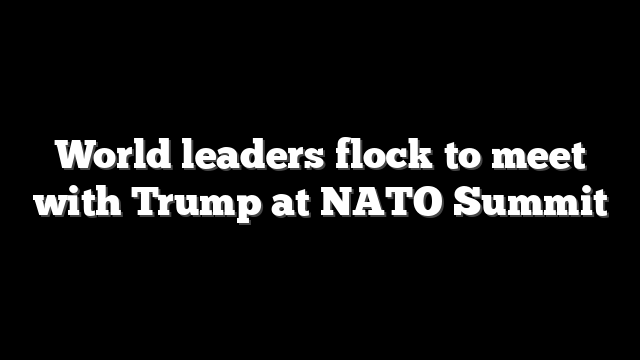 World leaders flock to meet with Trump at NATO Summit