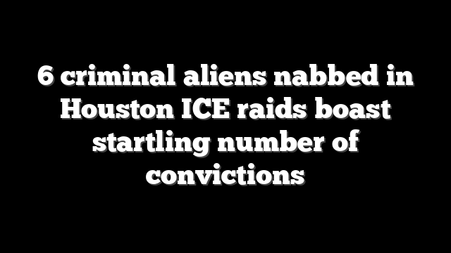 6 criminal aliens nabbed in Houston ICE raids boast startling number of convictions