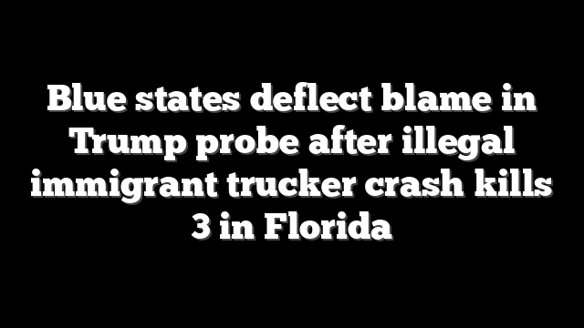 Blue states deflect blame in Trump probe after illegal immigrant trucker crash kills 3 in Florida