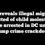 DHS reveals illegal migrants convicted of child molestation, rape arrested in DC under Trump crime crackdown