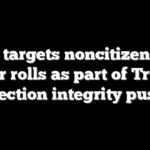 DOJ targets noncitizens on voter rolls as part of Trump election integrity push