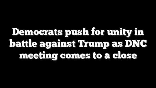 Democrats push for unity in battle against Trump as DNC meeting comes to a close