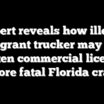 Expert reveals how illegal immigrant trucker may have gotten commercial license before fatal Florida crash