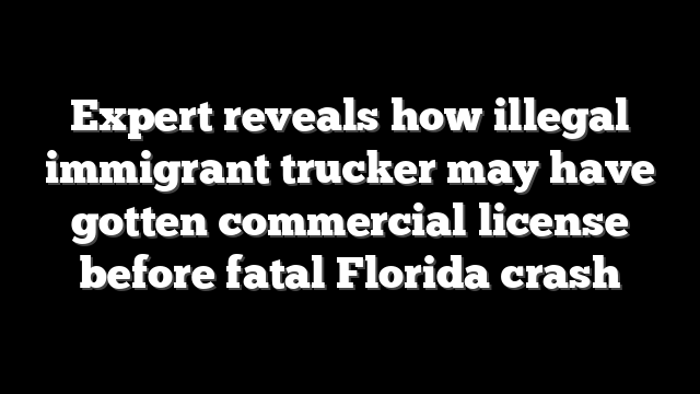 Expert reveals how illegal immigrant trucker may have gotten commercial license before fatal Florida crash