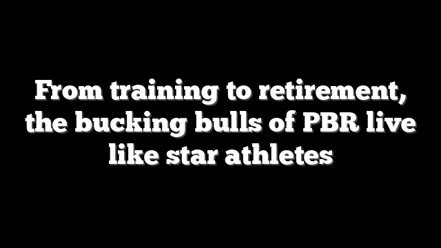 From training to retirement, the bucking bulls of PBR live like star athletes