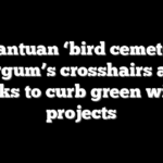 Gargantuan ‘bird cemeteries’ in Burgum’s crosshairs as DOI looks to curb green wind projects