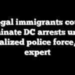 Illegal immigrants could dominate DC arrests under federalized police force, says expert