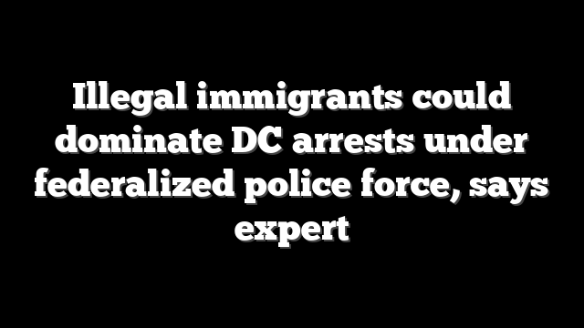 Illegal immigrants could dominate DC arrests under federalized police force, says expert