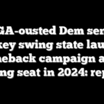 MAGA-ousted Dem senator from key swing state launches comeback campaign after losing seat in 2024: report