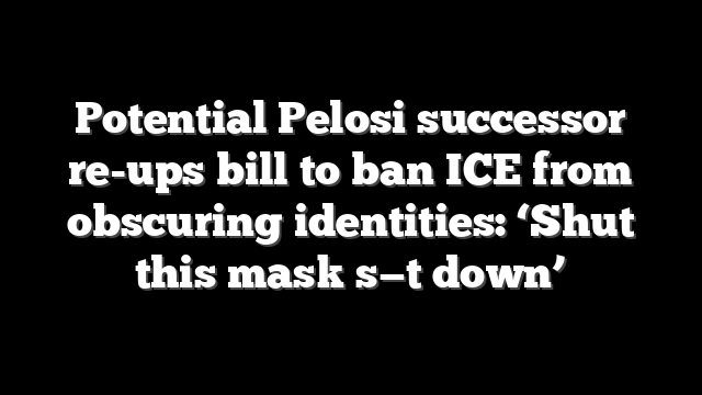 Potential Pelosi successor re-ups bill to ban ICE from obscuring identities: ‘Shut this mask s—t down’