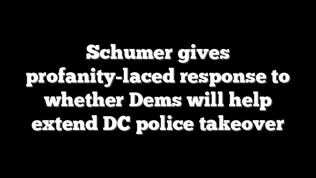 Schumer gives profanity-laced response to whether Dems will help extend DC police takeover