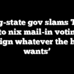 Swing-state gov slams Trump plan to nix mail-in voting: He ‘can sign whatever the hell he wants’
