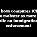 Union boss compares ICE to Al Pacino mobster as more Dems pile on immigration enforcement