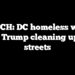 WATCH: DC homeless weigh in on Trump cleaning up city streets