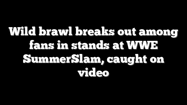Wild brawl breaks out among fans in stands at WWE SummerSlam, caught on video