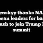 Zelenskyy thanks NATO, European leaders for backing his push to join Trump‑Putin summit
