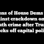 Dozens of House Dems vote against crackdown on DC youth crime after Trump backs off capital police