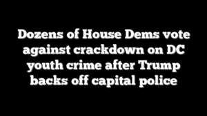 Dozens of House Dems vote against crackdown on DC youth crime after Trump backs off capital police