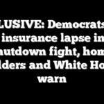 EXCLUSIVE: Democrats risk flood insurance lapse in their shutdown fight, home builders and White House warn