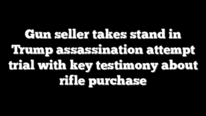Gun seller takes stand in Trump assassination attempt trial with key testimony about rifle purchase