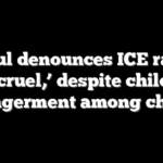 Hochul denounces ICE raid as ‘cruel,’ despite child endangerment among charges