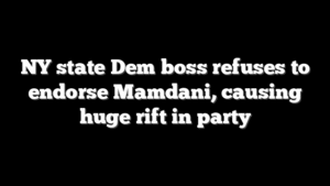NY state Dem boss refuses to endorse Mamdani, causing huge rift in party