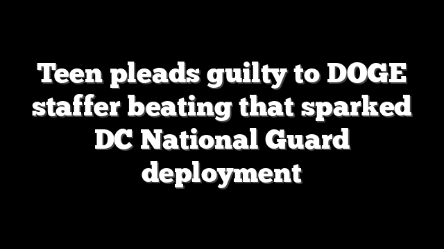Teen pleads guilty to DOGE staffer beating that sparked DC National Guard deployment