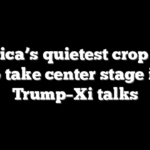 America’s quietest crop is set to take center stage in Trump–Xi talks