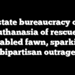 Blue state bureaucracy orders euthanasia of rescued disabled fawn, sparking bipartisan outrage