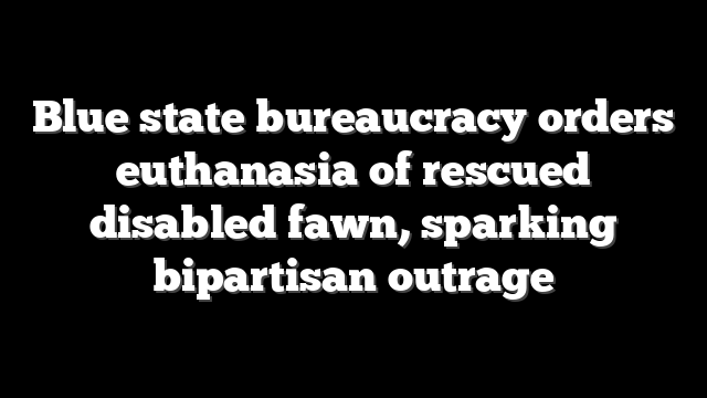 Blue state bureaucracy orders euthanasia of rescued disabled fawn, sparking bipartisan outrage