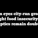 Boston eyes city-run groceries to fight food insecurity, but skeptics remain doubtful