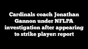 Cardinals coach Jonathan Gannon under NFLPA investigation after appearing to strike player: report