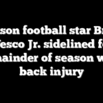 Clemson football star Bryant Wesco Jr. sidelined for remainder of season with back injury