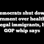 Democrats shut down government over healthcare for illegal immigrants, House GOP whip says
