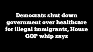 Democrats shut down government over healthcare for illegal immigrants, House GOP whip says