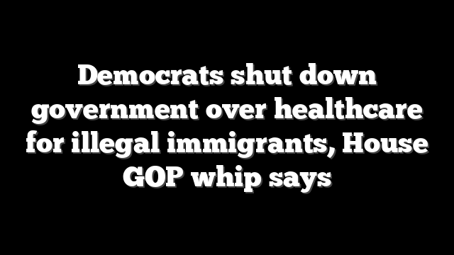 Democrats shut down government over healthcare for illegal immigrants, House GOP whip says