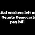 Essential workers left unpaid after Senate Democrats kill pay bill