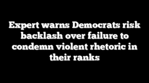 Expert warns Democrats risk backlash over failure to condemn violent rhetoric in their ranks