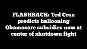FLASHBACK: Ted Cruz predicts ballooning Obamacare subsidies now at center of shutdown fight