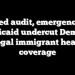 Fed audit, emergency Medicaid undercut Dems on illegal immigrant health coverage