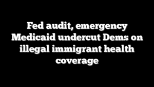 Fed audit, emergency Medicaid undercut Dems on illegal immigrant health coverage