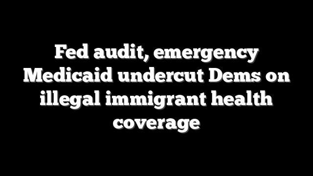 Fed audit, emergency Medicaid undercut Dems on illegal immigrant health coverage