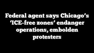 Federal agent says Chicago’s ‘ICE-free zones’ endanger operations, embolden protesters