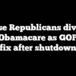 House Republicans divided over Obamacare as GOP eyes fix after shutdown
