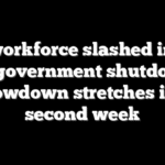 IRS workforce slashed in half as government shutdown showdown stretches into second week