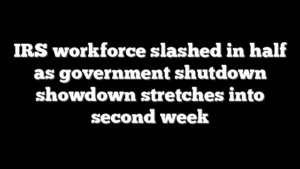 IRS workforce slashed in half as government shutdown showdown stretches into second week