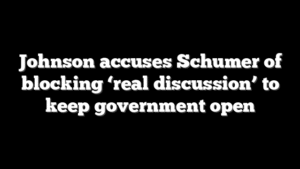Johnson accuses Schumer of blocking ‘real discussion’ to keep government open