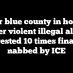 Major blue county in hot seat after violent illegal alien arrested 10 times finally nabbed by ICE
